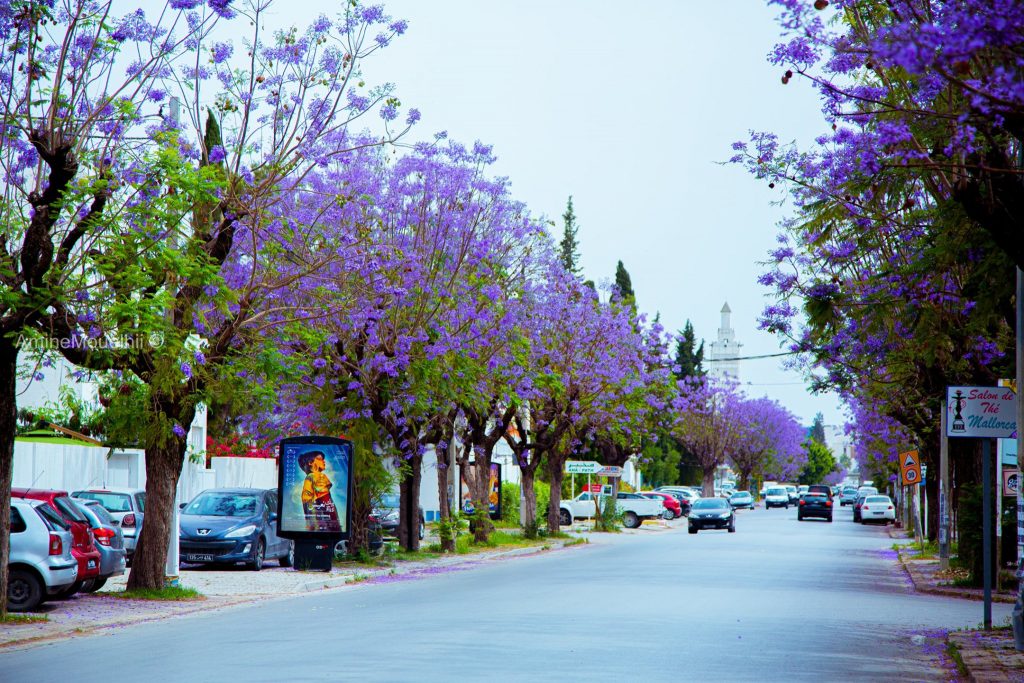 Tunisia Tourism Image 17